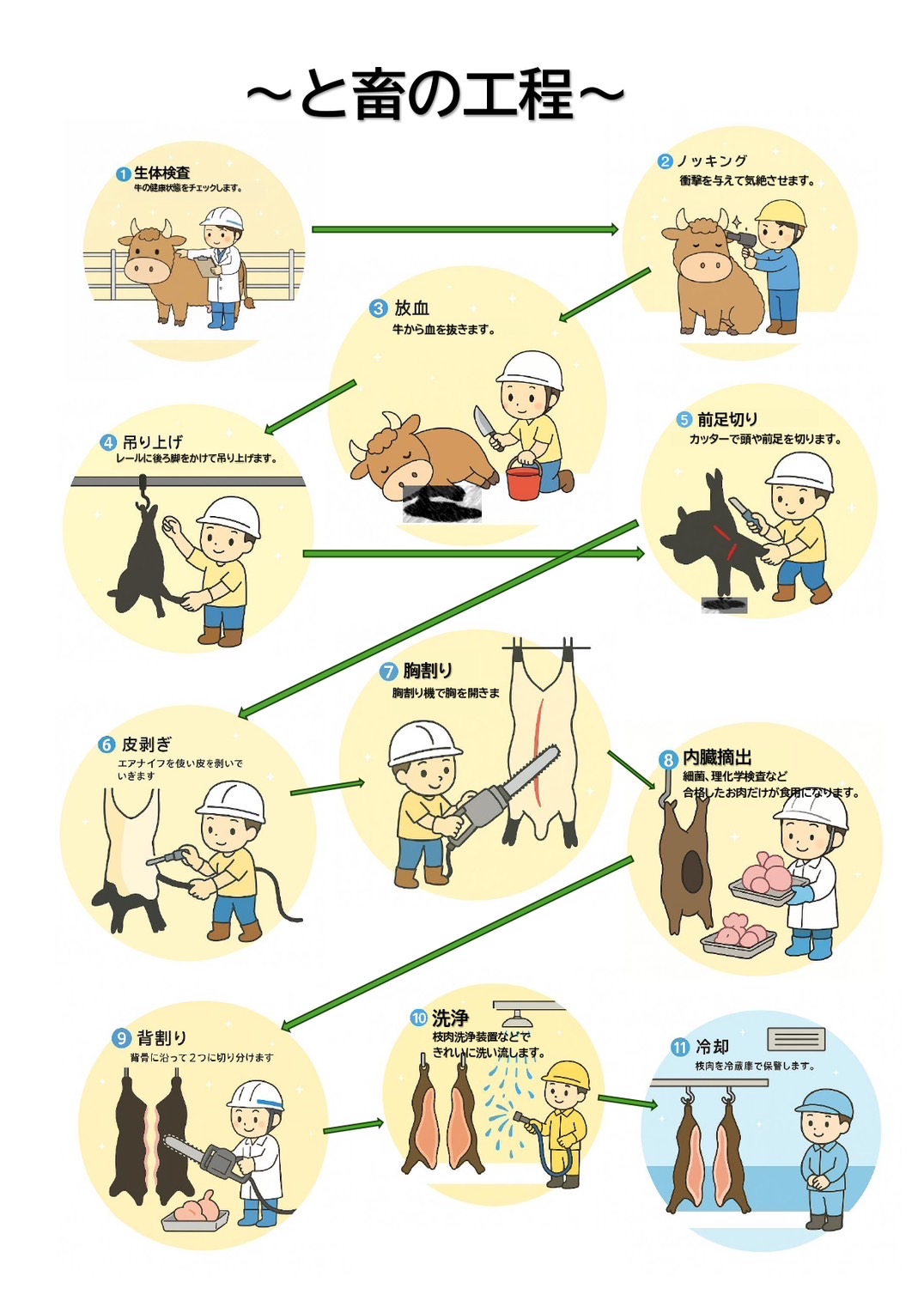 牛の場合の屠畜の流れ